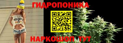 хмурый Нарткала