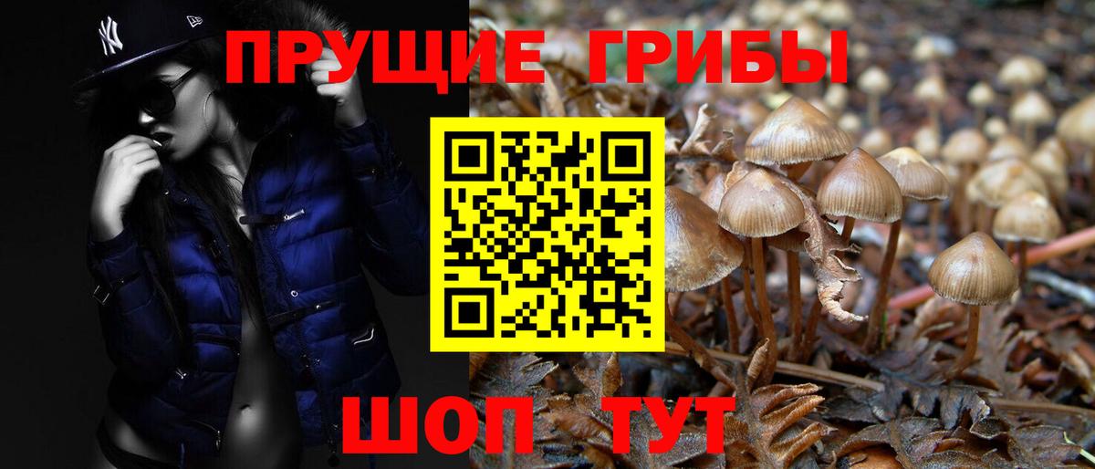 Псилоцибиновые грибы Cubensis Симферополь