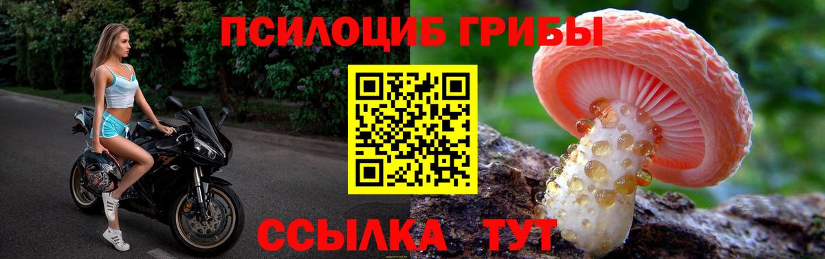 Симферополь  Псилоцибиновые грибы Psilocybe  Вход с VPN 